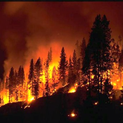 amazonas incendio